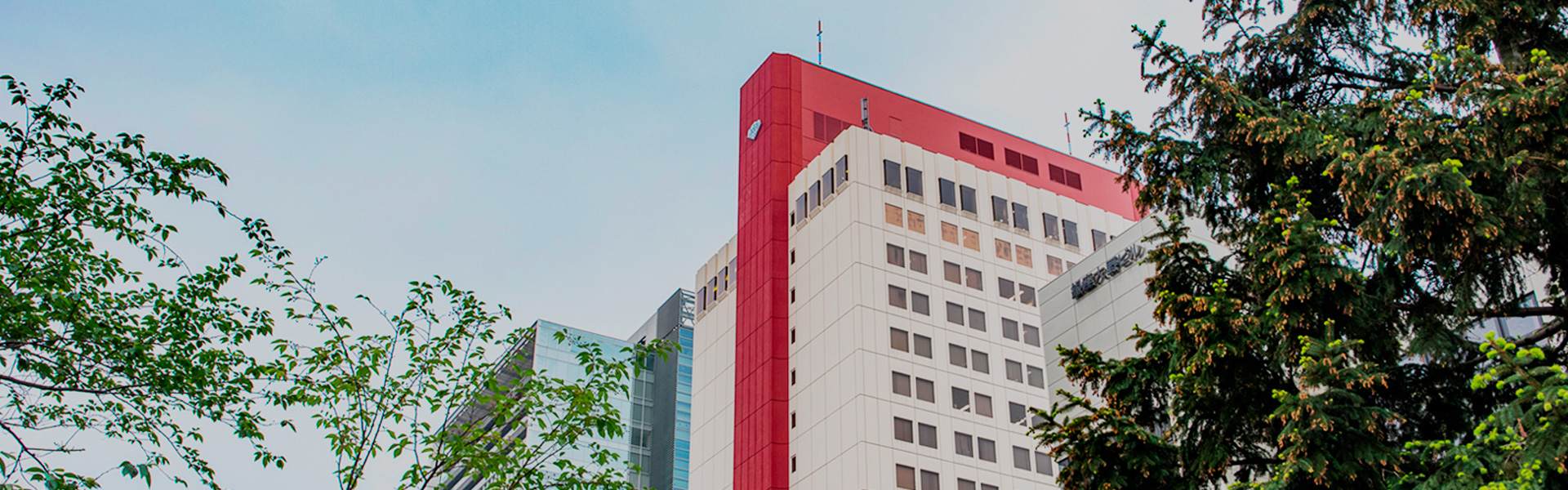 会社概要アイキャッチ画像